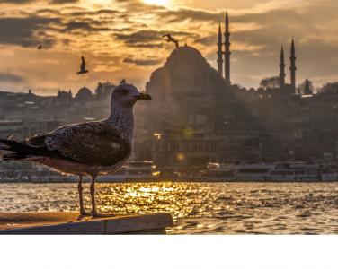 İstanbul Deyimleri ve Muhteşem Öyküleri